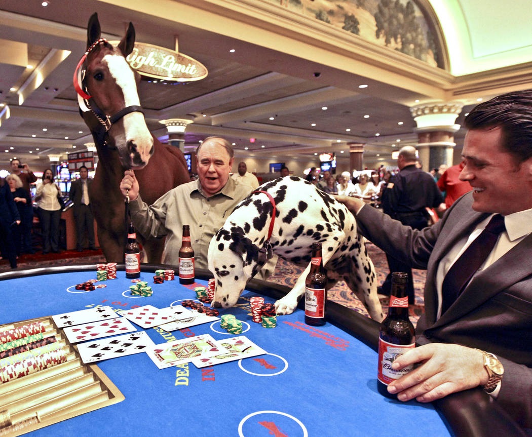 Meet the pioneers of the world who have billions by gambling