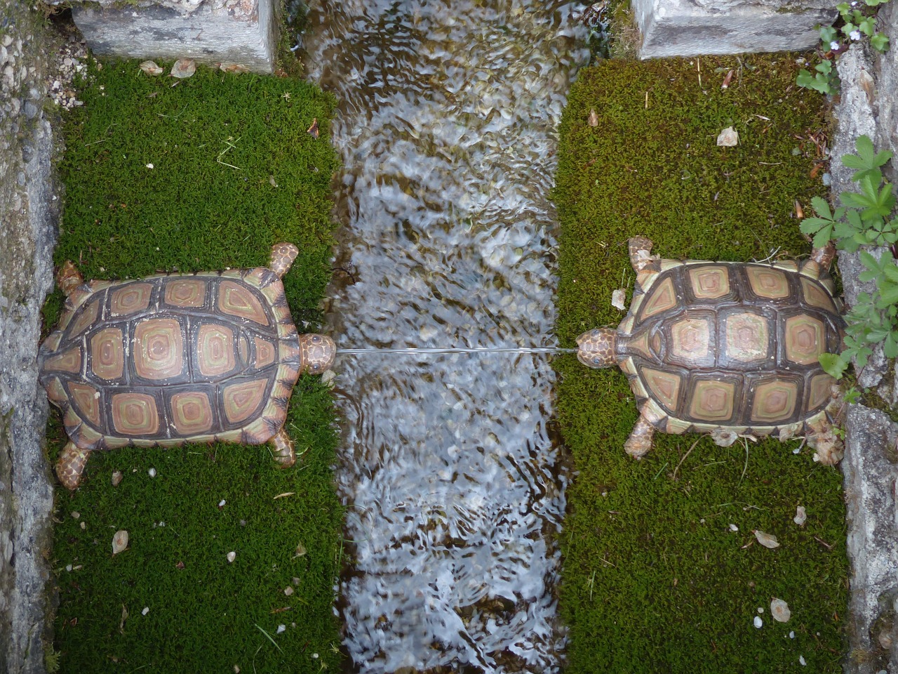 Water feature, turtles, hellbrunn — Continual (Lifelong) Learning: Mitigation of Catastrophic Forgetting in Sequential Task T