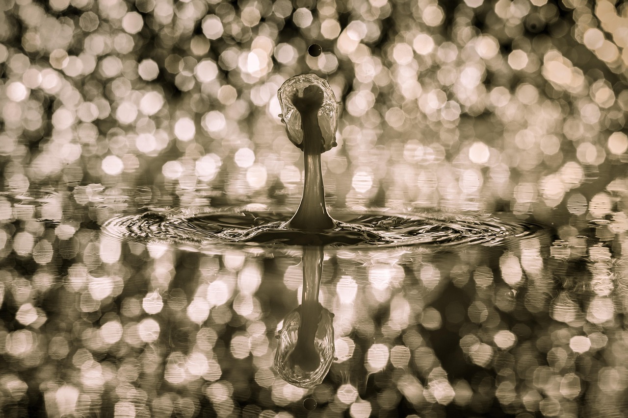 Drops, water, waterdrop — Experience Secure Crypto Management with Ledger Live