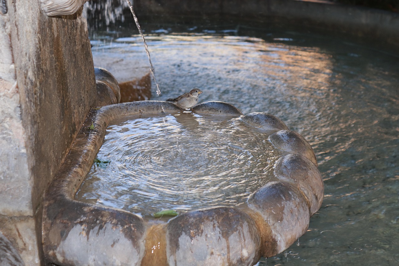 Water feature, fountain, bird — Is Fast Pay Casino Legal in Australia Tobique License Explained for Aussies