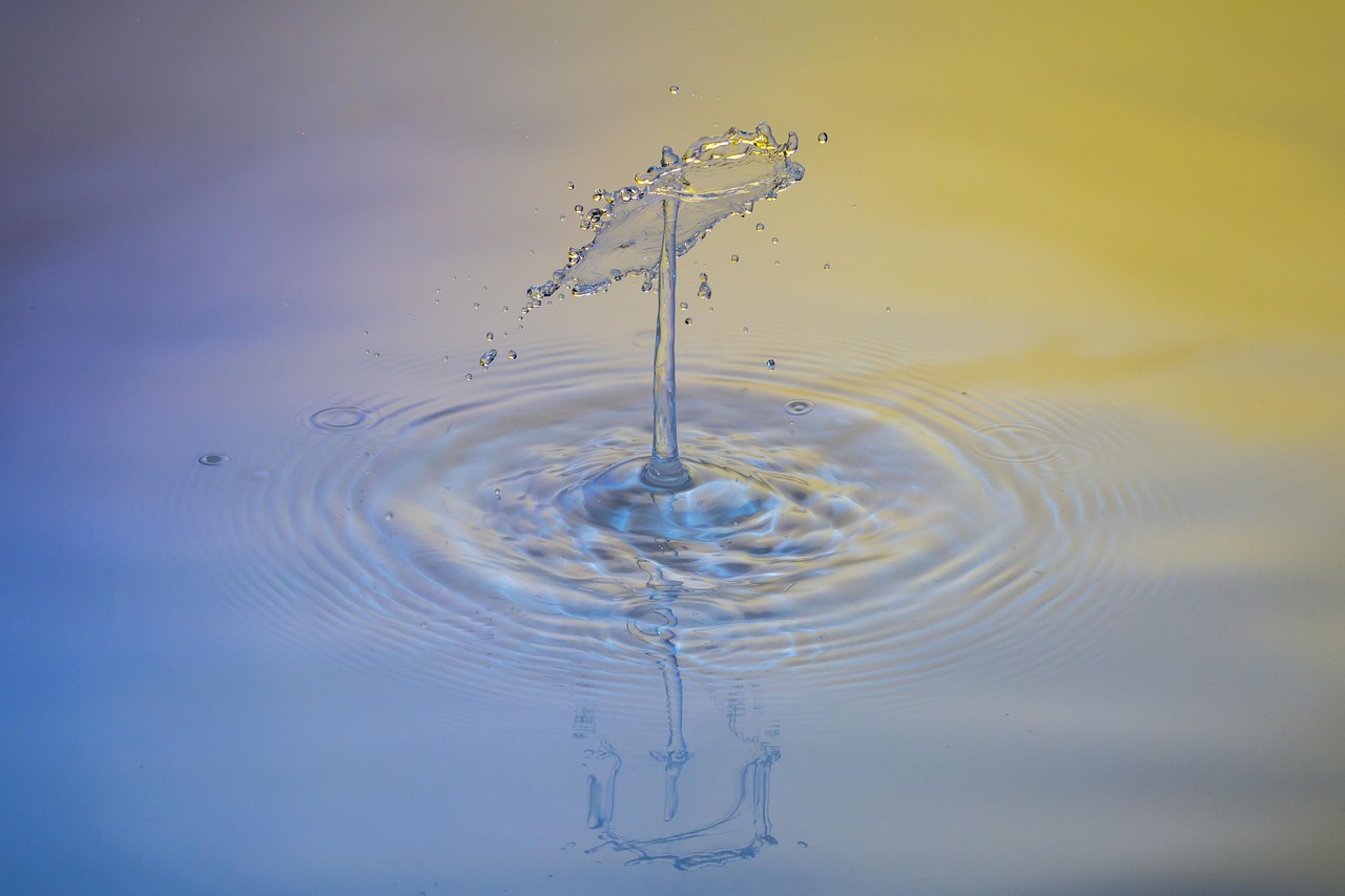 Drops, water, nature — Mastering the Raydium Swap: A Trader's Best Ally
